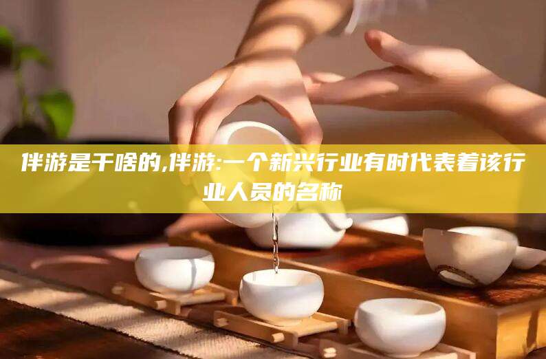 三沙伴游是干啥的,伴游:一个新兴行业有时代表着该行业人员的名称